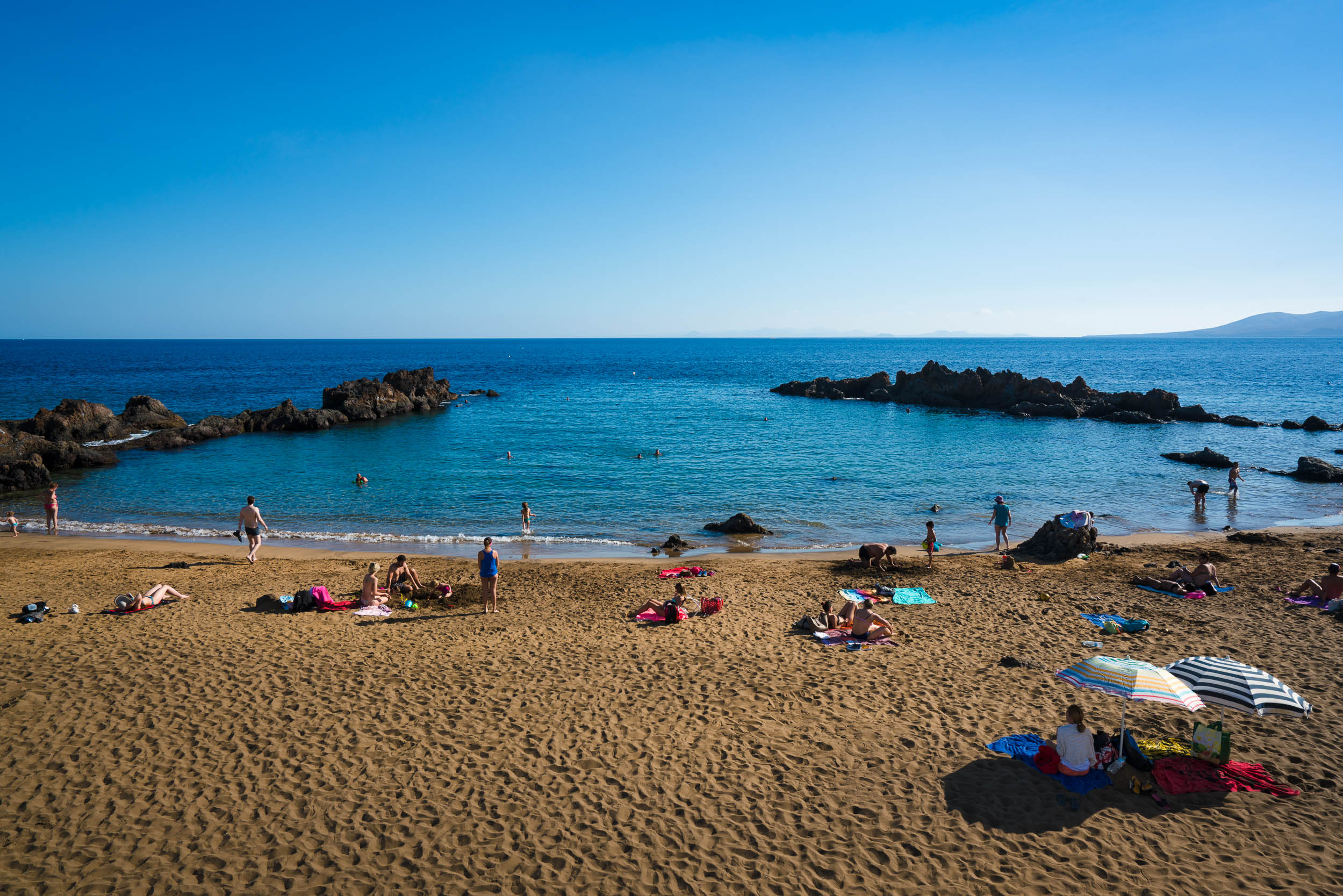 Fernanda S., Emprendedora Micro-SaaS